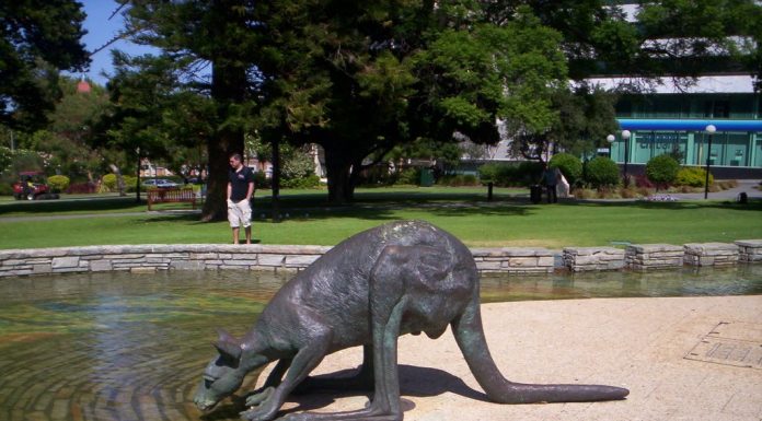 Quelques news en vrac…