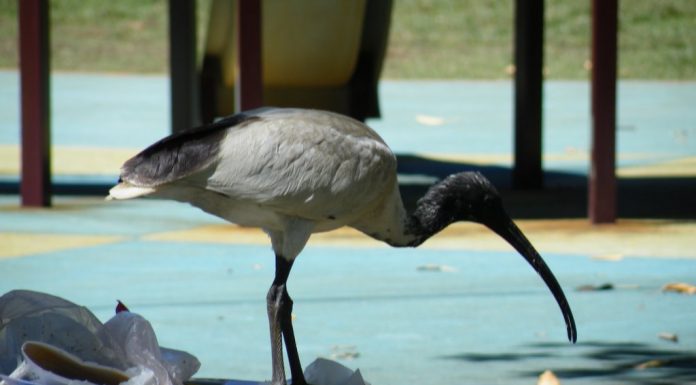Ca se précise…un peu
