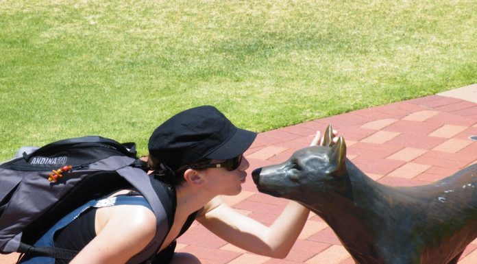 Salut la France! (Message concocté le 24 janvier)