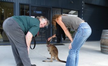 -stop- Goûtons au plaisir de la région – stop-