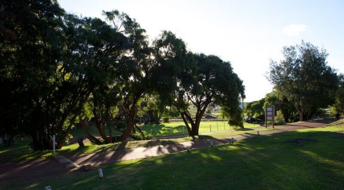 En attendant que le raisin soit à point
