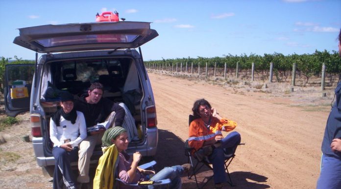 Picking, picking, picking