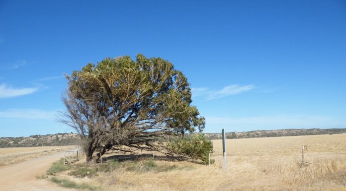 Vive les vacances!!!