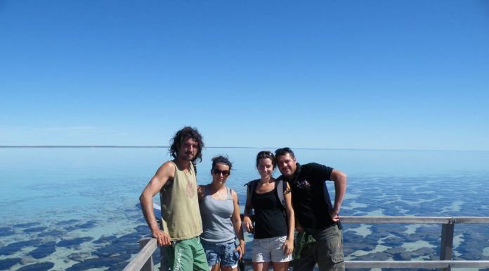 Shark Bay, la baie des requins