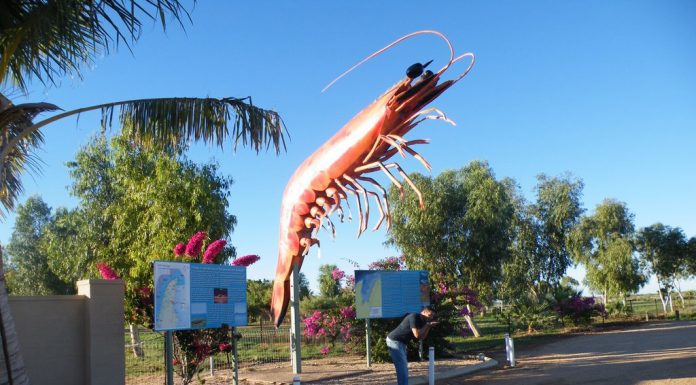 En direct d’Exmouth!