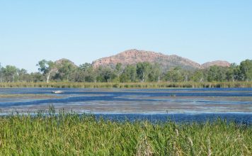 En plein dans l’Outback australien!