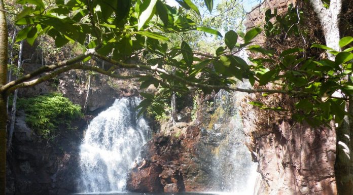 Le litchfield, au top!