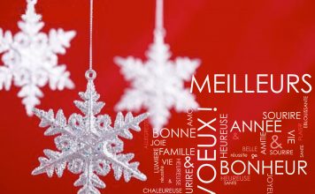 Bonne et heureuse annee 2010