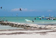 Isla Holbox